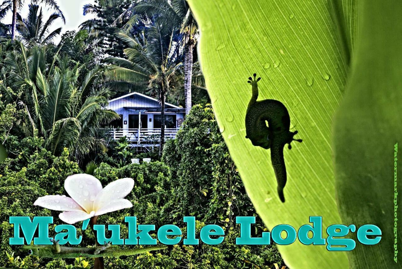 Ma'Ukele Lodge Bed & Breakfast Pahoa, United States